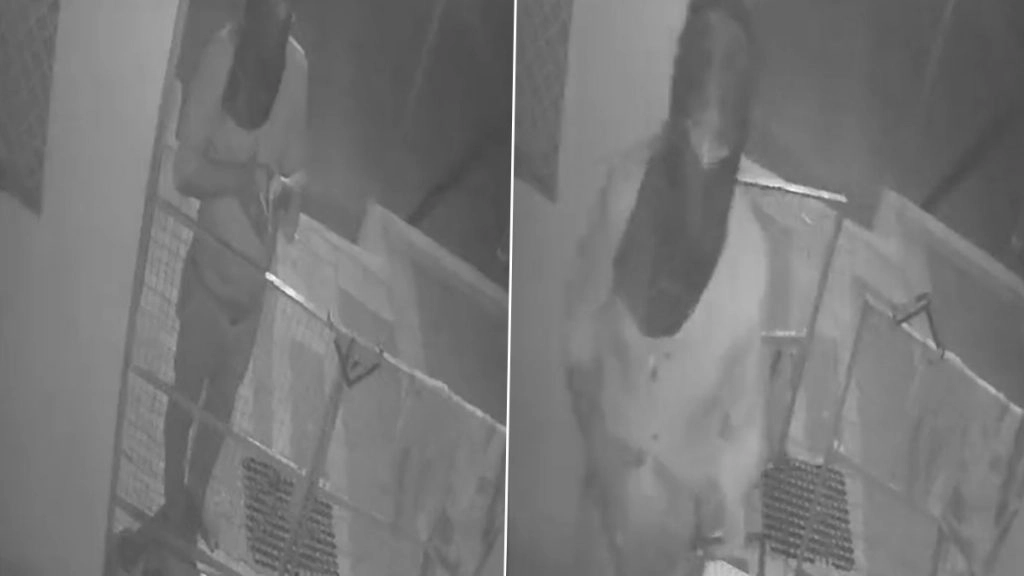 Viral Video: चोरी करने से पहले चोर ने हाथ जोड़कर भगवान से मांगी माफी, फिर दानपेटी पर किया हाथ साफ