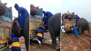 कीचड़ में फंसे ट्रक को निकालने के लिए लेनी पड़ी हाथी की मदद, Viral Video में देखें कैसे गजराज ने दिखाई अपनी ताकत