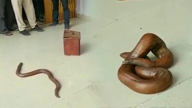 VIDEO: कोर्ट में पेश हुआ 5 करोड़ का दोमुंहा सांप, &lsquo;रेड सैंड बोआ&rsquo; की हो रही थी तस्करी, आखिर क्यों है इतनी कीमत?