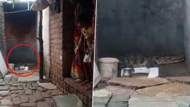 Crocodile In House: गुजरात के एक घर में मिला 6 फीट लंबा मगरमच्छ, मचा हड़कंप, देखें वीडियो