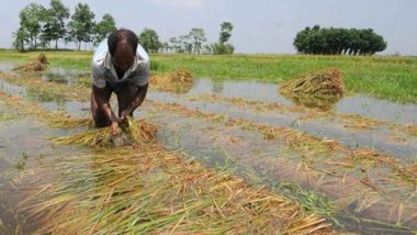 Bihar: राजधानी पटना समेत राज्य के अधिकांश इलाकों में बारिश व आंधी से फसलों को पंहुचा नुकसान