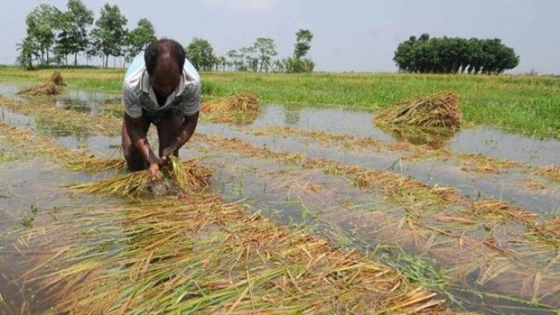Maharashtra: महाराष्ट्र के लातूर में 300 हेक्टेयर भूमि पर किसान जैविक खेती करेंगे