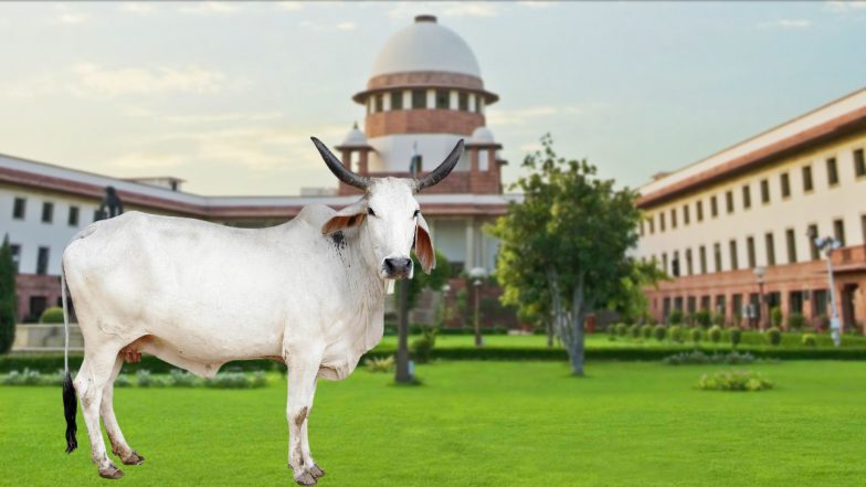 Cow As National Animal? गाय को राष्ट्रीय पशु घोषित करने की मांग वाली याचिका पर सुनवाई से सुप्रीम कोर्ट का इनकार