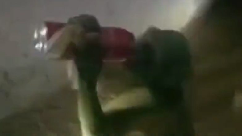 Video: रायबरेली में बंदर बना शराबी, लोगों के हाथों से छीनकर पीता है बीयर