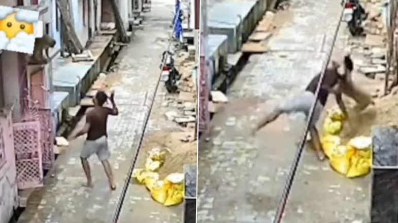 Funny Viral Video: बंदर को भगाने की कोशिश कर रहा था शख्स, गुस्साए जानवर ने छलांग लगाकर कर दिया ऐसा हाल