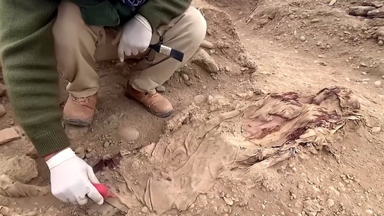 Colonial-Era Mummies: पुरातत्वविदों ने पेरू में औपनिवेशिक युग की ममियों का लगाया पता, देखें वीडियो