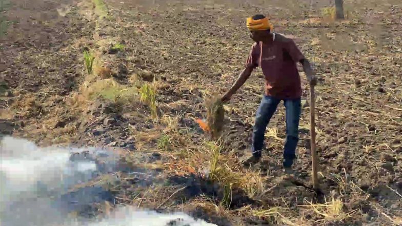 पंजाब में पराली जलाने का सिलसिला जारी, जालंधर में किसानों ने अपने खेतों में पराली जलाई