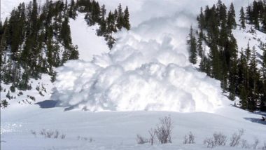 Uttarkashi Avalanche: उत्तराखंड में बर्फीले तूफान से हादसा, द्रौपदी का डांडा-2 पर्वत चोटी पर फंसे 28 पर्वतारोही, CM ने सेना से मांगी मदद