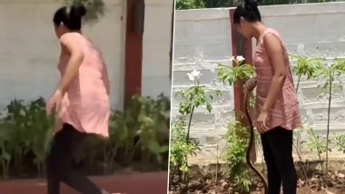 Viral Video: घर से निकलकर भागने लगा सांप, पीछे दौड़कर महिला ने नागराज को पकड़ा