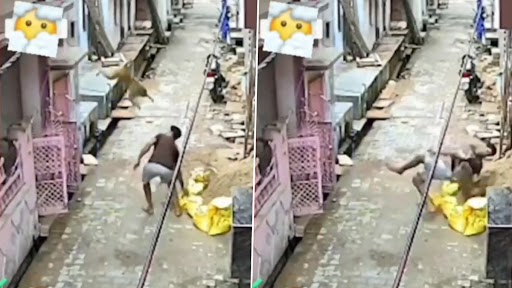 Viral Video: शख्स ने बंदर को पत्थर फेंक कर मारा, गुस्साए जानवर ने कर दी धुनाई, देखें वीडियो