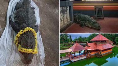 Vegetarian’ Crocodile Babiya Dies: श्री अनंत पद्मनाभ स्वामी मंदिर तालाब के शाकाहारी मगरमच्छ बबिया की मौत, देखें तस्वीरें और वीडियो