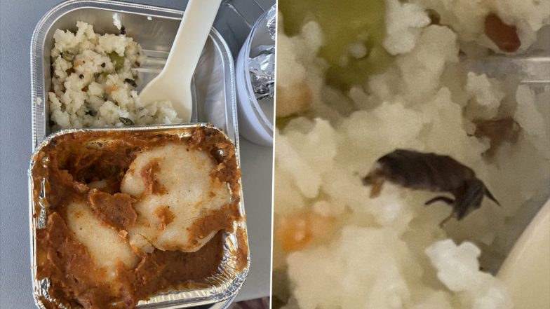 यात्री को विस्तारा की फ्लाइट में मिले खाने में मिला कॉकरोच! फोटो हुई वायरल