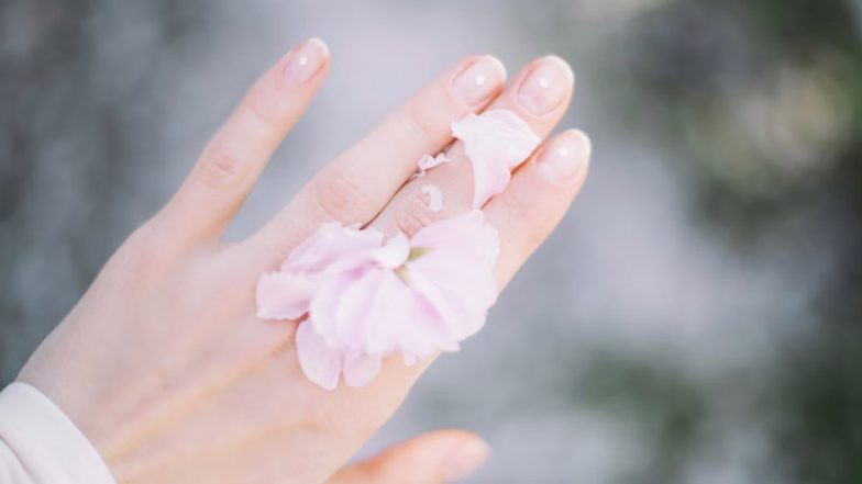 Winter Skin Tips: सर्द हवाओं में भी रखें अपनी त्वचा को नरम और मुलायम! बड़े काम के हैं ये अनमोल टिप्स!