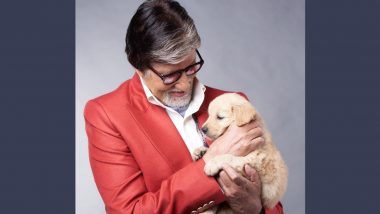 Amitabh Bachchan ने फोटो शेयर करके जताया दुख, कहा- हमारे ये साथ एक दिन हमें छोड़कर चले जाते हैं!
