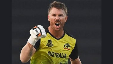 David Warner: वॉर्नर ने अगले साल टेस्ट क्रिकेट से संन्यास लेने के संकेत दिए