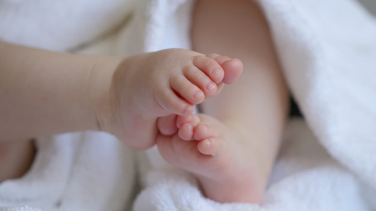 कोलकाता में नकली बच्चा गोद लेने के रैकेट का भंडाफोड़