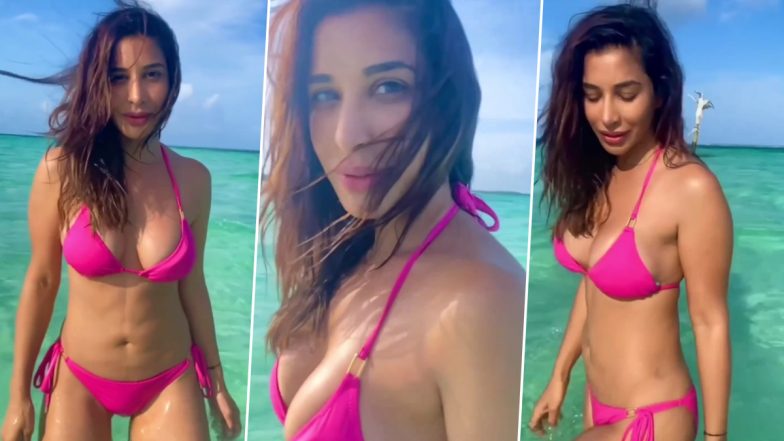 Sophie Choudary ने गुलाबी बिकिनी पहनकर समंदर में दिखाया सेक्सी फिगर, Throwback Video दोबारा बटोर रहा सुर्खियां
