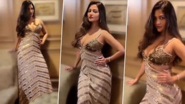 Riya Sen ने स्टनिंग गाउन पहन बढ़ाया सोशल मीडिया का टेंम्परेचर, एक्ट्रेस की दिलकश अदाएं जीत लेंगी आपका दिल (Watch Video)