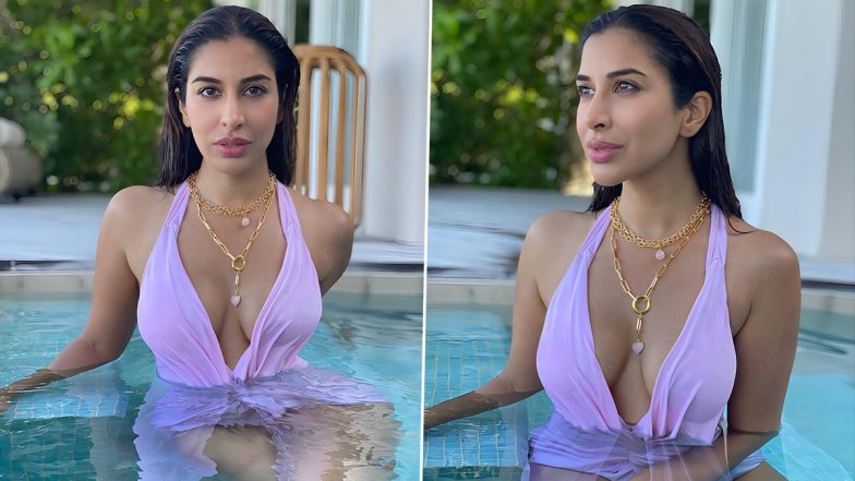 परपल स्मिमसूट पहन Sophie Choudry ने स्विमिंग पूल में लगाई आग, सिंगर की हॉटनेस ने बढ़ाया सोशल मीडिया का पारा (See Pics)