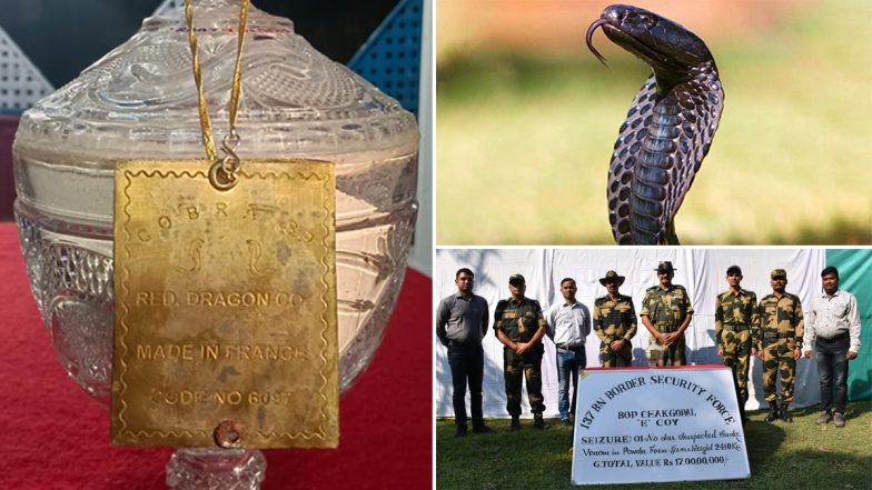 Snake Venom: 17 करोड़ रुपये का सांप का जहर बरामद, बांग्लादेश से तस्करी कर लाया जा रहा था भारत