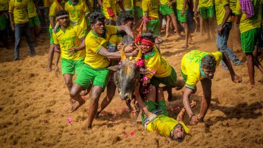 Tamil Nadu: जल्लीकट्टू में पशु और मनुष्य दोनों को चोट लगती है, क्रूरता की अनुमति नहीं दी जा सकती: सुप्रीम कोर्ट में बोले याचिकाकर्ता