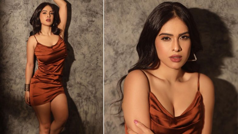 भोजपुरी एक्ट्रेस Neha Malik ने सेक्सी आउटफिट पहन गिराई बिजली, एक्ट्रेस की हॉटनेस ने यूजर्स का धक धक किया दिल (See Pics)