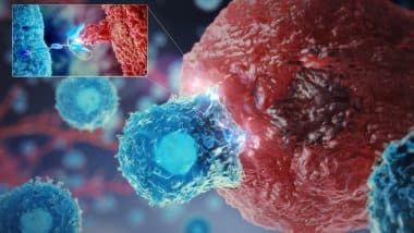 Cancer Treatment in India: देश में कैंसर पीड़ित लड़कियों से ज्यादा लड़कों का हो रहा इलाज, पढ़ें चौकानी वाली ये रिपोर्ट