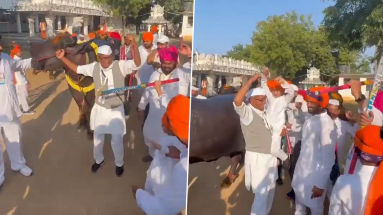 Digvijay Singh Dance Video: तेलंगाना में भैसें के साथ डांस करते दिग्विजय सिंह का वीडियो वायरल- Watch