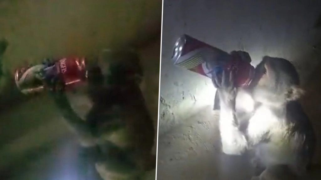 रायबरेली में शराबी बंदर का आंतक, वाइन शॉप पर ग्राहकों से छीनकर एक सांस में गटक जाता है बियर