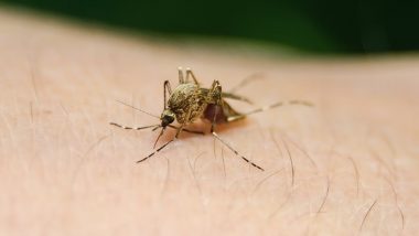 Zika Virus: कर्नाटक में 5 साल की बच्ची जिका वायरस से हुई संक्रमित, जानें क्या हैं इसके लक्षण