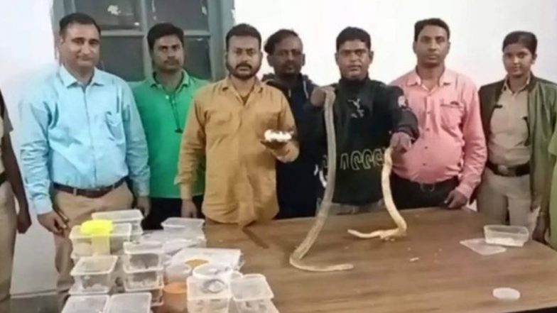 Snake And Chameleons Smmugling Video: नीलांचल एक्सप्रेस से महिला ले जा रही थी  सांप, गिरगिट और अन्य वन्य जीव प्राणी, स्मगलिंग का शक, सभी प्राणी विदेशी