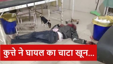 VIDEO: लापरवाही की हद! सरकारी अस्पताल के इमरजेंसी वार्ड में घुसा कुत्ता, घायल युवक का चाटा खून, 6 स्वास्थ्य कर्मी बर्खास्त