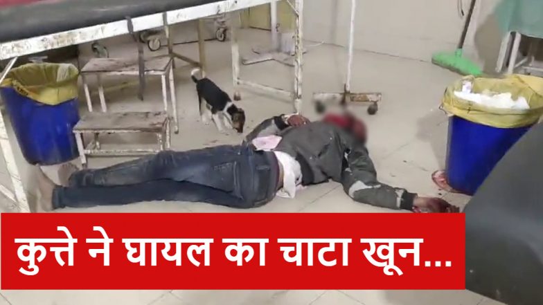 VIDEO: लापरवाही की हद! सरकारी अस्पताल के इमरजेंसी वार्ड में घुसा कुत्ता, घायल युवक का चाटा खून, 6 स्वास्थ्य कर्मी बर्खास्त