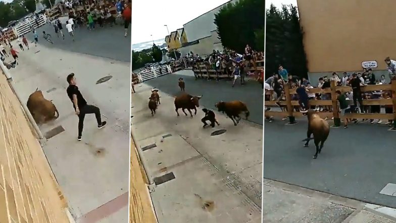 एक ही शख्स पर कई सांडों ने किया जबरदस्त अटैक, Viral Video में देखें कैसे बाल-बाल बची उसकी जान