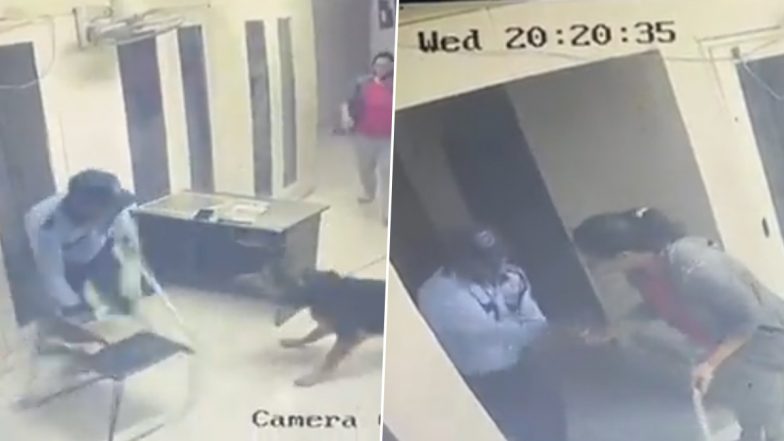 Dog Attack in Noida: यूनिटेक होराइजन सोसाइटी में पालतू कुत्ते ने सुरक्षा गार्ड पर हमला किया, CCTV वीडियो वायरल