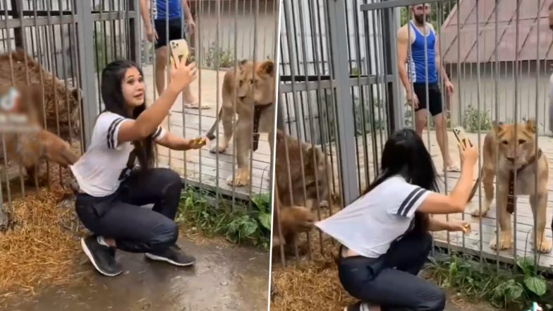 शेरनी के साथ सेल्फी लेती लड़की को देख आया भालू को गुस्सा, फिर जो हुआ...Viral Video देख आप हो जाएंगे हैरान