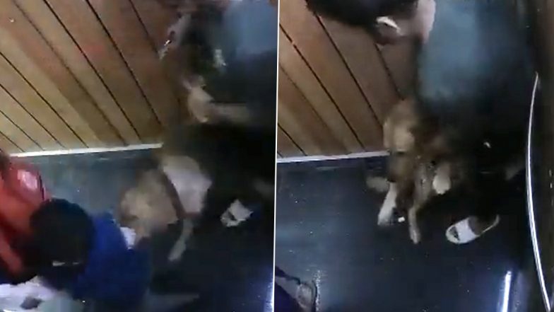 Dog Attack in Noida: सोसायटी की लिफ्ट में पालतू कुत्ते ने बच्चे पर किया हमला, जबरदस्त तरीके से नोंचा हाथ (Watch Video)