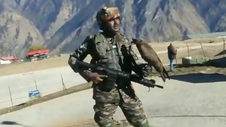 भारतीय सेना को मिलेंगे प्रशिक्षित चील, दुश्मन के ड्रोन को करेंगे तबाह