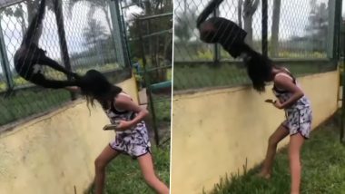 Viral Video: बंदर को छेड़ रहे थे लोग तभी गुस्साए जानवर ने बच्ची के खींच लिए बाल, हैरान करने वाला वीडियो हुआ वायरल