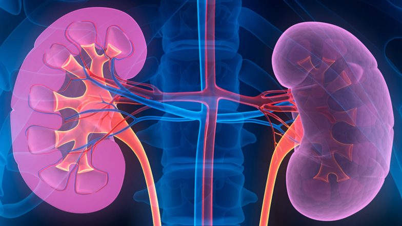 Mother Donated Kidney: बीमार बेटे को मां ने की किडनी डोनेट