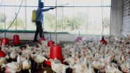 Bird Flu Cases: इजराइल ने टर्की फार्म में बर्ड फ्लू का पता लगाया