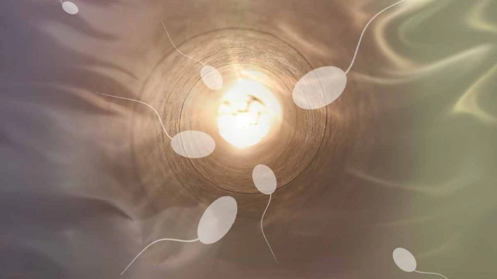 भारत समेत दुनिया भर में पुरुषों में शुक्राणओं की संख्या में भारी गिरावट: अध्ययन