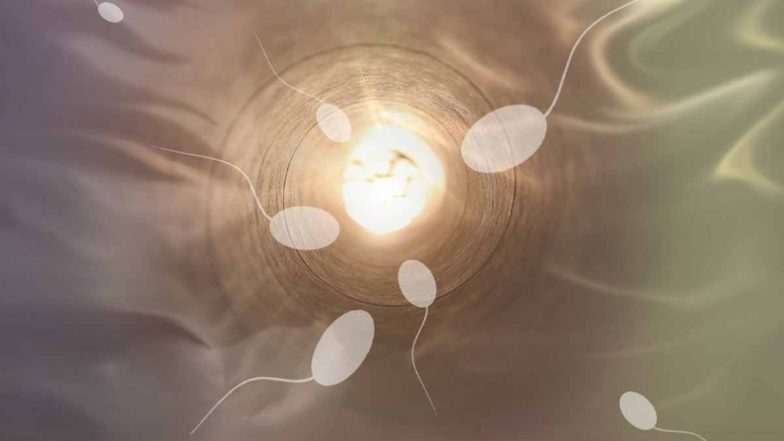 Decline In Sperm Count Globally: भारत समेत दुनिया भर में पुरुषों में शुक्राणओं की संख्या में भारी गिरावट: अध्ययन