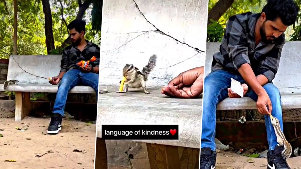 नन्ही गिलहरी को लगी भूख तो शख्स ने खिलाए कुरकुरे, वायरल वीडियो देखकर आपके चेहरे पर आ जाएगी मुस्कान