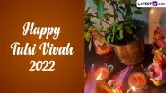 Tulsi Vivah 2022: तुलसी-शालिग्राम के विवाह का पर्व है तुलसी विवाह, जानें शुभ मुहूर्त, पूजा विधि और इसका महत्व