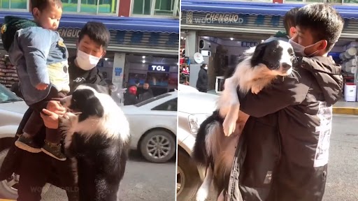 Video: शख्स ने बच्चे को उठाया गोद में तो कुत्ता भी करने लगा जिद, देखें क्यूट वीडियो
