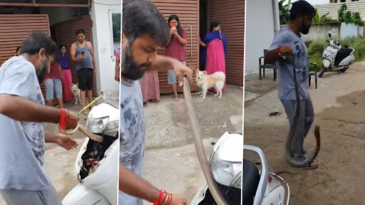 Snake In Scooty: स्कूटी के हैंडल में घुसा था खतरनाक कोबरा, शख्स ने ऐसे किया रेस्क्यू, देखें वीडियो
