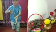 Snake Video: पूजा घर में मिला सांप खतरनाक सांप, बच्चे ने ऐसे किया रेस्क्यू, देखें वीडियो
