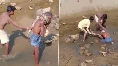 Video: नशे में धुत शख्स के गले में लिपटा अजगर, बेटे और दोस्त ने बचाने की कोशिश की, देखें वीडियो