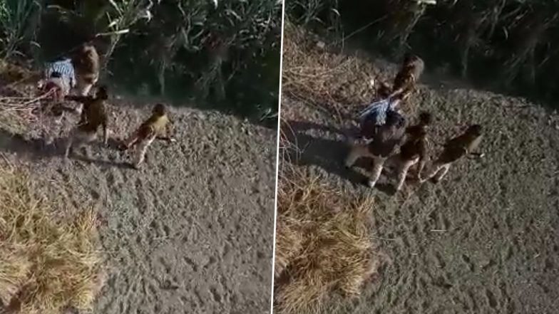 UP Shocker: कैराना में शख्स की मौत के कुछ दिनों बाद, पुलिस की पिटाई का Video हुआ वायरल